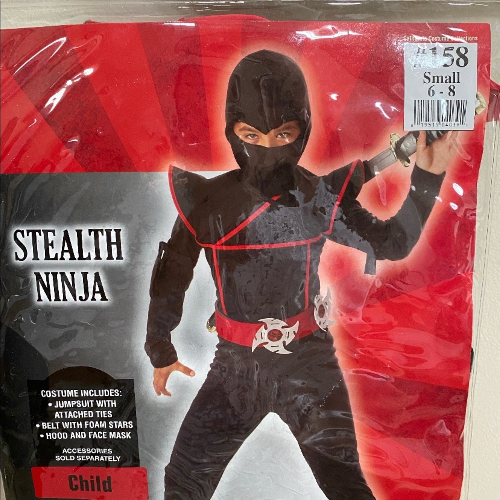 Ninja costume
